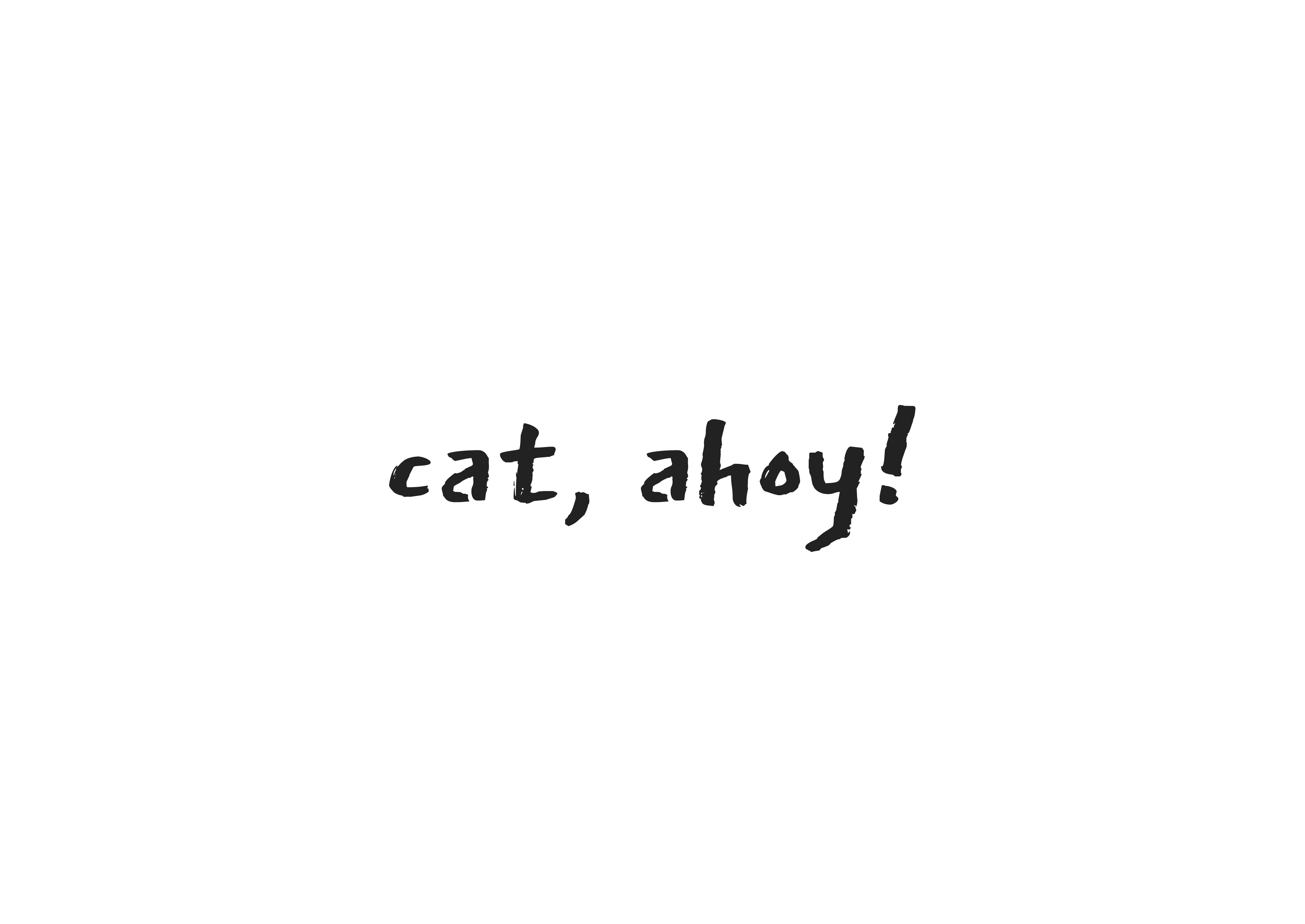 Cat Ahoy-05